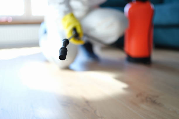 Reliable Fletcher, OK Mold Removal Solutions